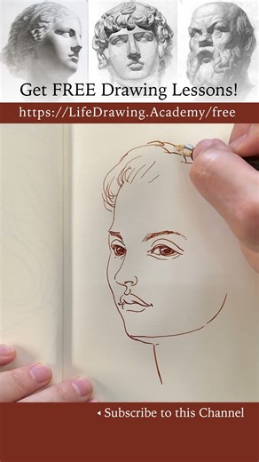 Learn portrait drawing techniques in this course: https://lifedrawing.academy/free