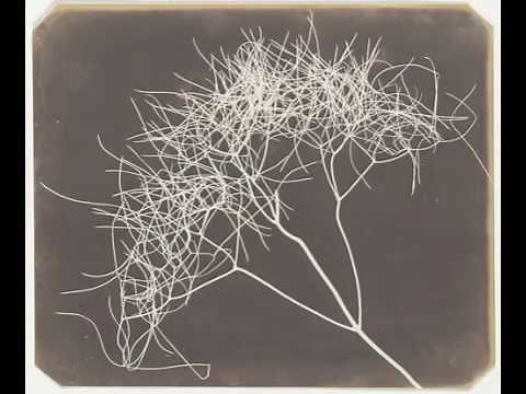 Lesson 38: Making Salt Prints With Digital Negatives