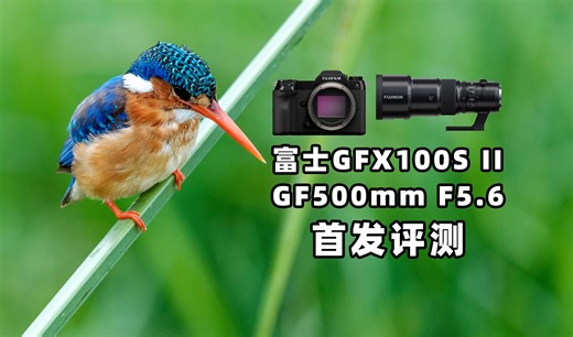 富士GFX100S II & GF500mm F5.6首发评测 拿中画幅也能拍生态！