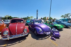 Exposição de carros antigos reúne mais de 100 clássicos da Volkswagen