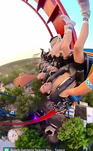 Thrilling Roller Coaster Adventure at Busch Gardens