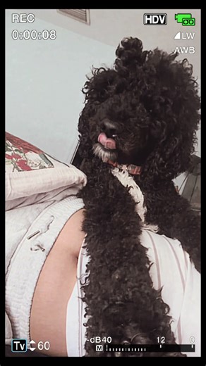 Wake up with us 💛 #mindsetmotivation #grwm #doodlesoftiktok #fyp #newbeggingings