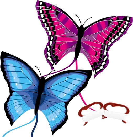 TOY Life Butterfly Kite for Kids, 2 Pack Easy to Fly Large Kites for Kids and Adults, Easy to Fly Big Beach Kites for Kids Age 4-8-12, Idea Gift for Children Outdoor Game Activities Beach Trip