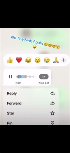 The Sink Challenge: Can It Hold My Weight?