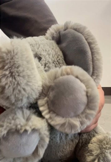 Wiggle Your Ears with Cute Plush Elephant Toys