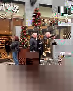 350K views · 18K reactions | My new dream is to see the geese parade live 論謹 | Furry Tails | Facebook