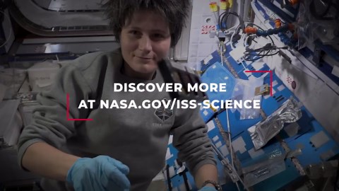 SpaceX CRS-29 mission to space station - science payloads explained