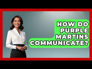 How Do Purple Martins Communicate? - Bird Watching Diaries