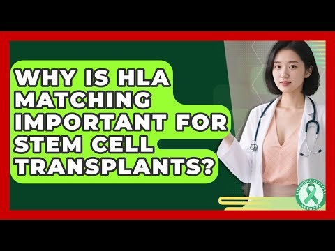 Why Is HLA Matching Important For Stem Cell Transplants? - Lymphoma Support Network