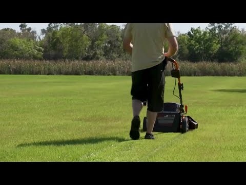 Consumer Reports: Expert tips for a picture-perfect lawn