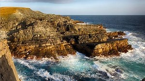 Mistaken Point, Newfoundland and Labrador - Alchetron, the free social encyclopedia