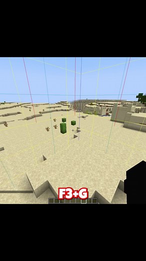 Voir les bordures des chunks Minecraft