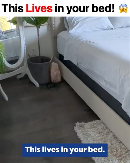  Discover Why Brits Can't Get Enough of the UVO Lamp! Now 2024's Essential Health and Home Tool is Available for Up to 35% OFF! Act Fast—Limited Stock Available! | Uvlizer UVC | Facebook