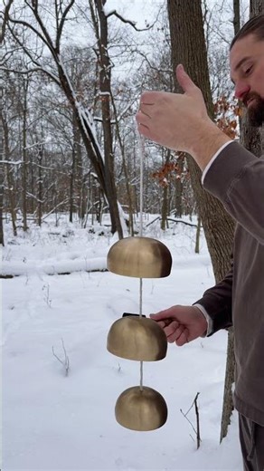 Two Bell Tones in a Snowy Forest