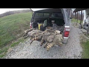 Trapping How To: Creeks & Culverts for Coons