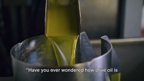 Discover How Olive Oil Is Made: The Organic Journey from Olive to Bottle