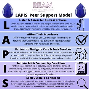 LAPIS Peer Support Model - BEAM