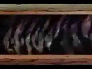 AMV Pokemon - 2BA Master