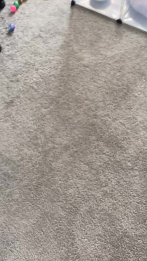 Escape kitty! #fosterkittensoftiktok #disney #princesses #fureverhome #yyc #fosterkitten