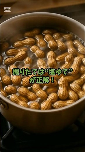 【土付き落花生の食べ方】掘りたては“塩ゆで”で煮豆感覚！#落花生 #塩ゆで落花生 #煮豆感覚 #キッチン雑学 #節約姉妹 #ai #aiアニメ #キッチン雑学