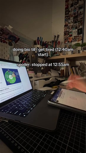 Biology Study Session Tips for Late Night Learners