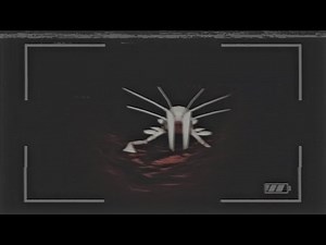 Roblox Mystery Flesh Pit July 4th, 2007 Disaster (Found Footage)