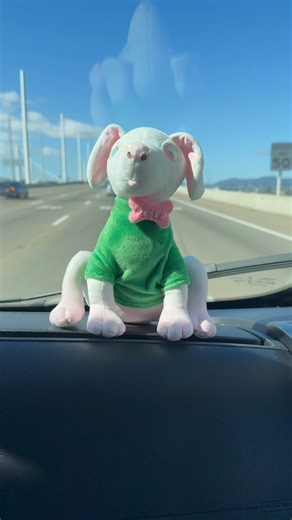 12K views · 1K reactions | https://www.gimmeswag.com/products/piglet-plush Use code PIGLET15 for 15% off your order. Sale of the Piglet doll ends on Saturday March 15. If you want one please order now. We will not be selling them again. | Piglet, the deaf blind pink puppy. | Facebook