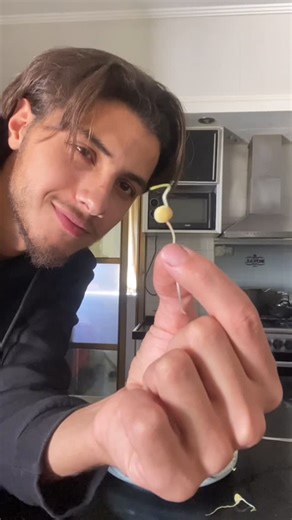 ‎محمد عماد الخالدي || mohamed Al khalidi‎ on Instagram‎: "I filmed this video four months ago, when the war resumed, the crossings closed, and food began to run out. Today, after four months, the remaining food is gone, the markets are empty, and prices are incredibly high.💔 I reposted this video hoping someone might still have some lentils or seeds they could sprout. This method would multiply the quantity and provide significant benefits, tripling the amount. , even the simple items shown in 