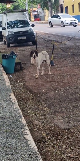 Example of Adaptation