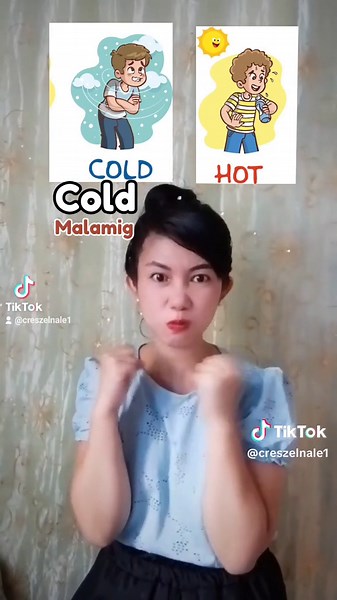 Part 3: Emotions and Feelings in Filipino Sign Language