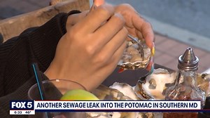 4.8K views · 50 reactions | The Maryland Department of the Environment on Monday announced that it will shut down shellfish harvesting in a portion of the Potomac River off of St. Mary’s County because of a sewage overflow. FOX 5's Stephanie Ramirez has the latest. DETAILS: https://bit.ly/3DaUyky | Fox 5 DC | Facebook