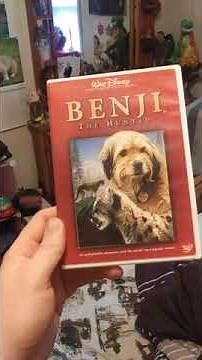 Benji The Hunted (1987) Review