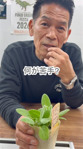 [Lamb's Ear] Plants with hairs don't like humidity. #Lamb'sEar