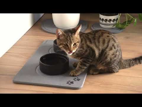 Stone Pet Mat Review - Clean Mealtime, Happy Pets 🐾