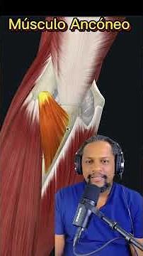 GETTING TO KNOW THE ANCONEUS MUSCLE