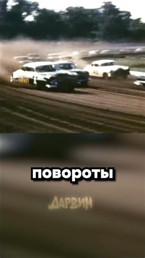 (Идея взята с канала @Maksonchesss) Я еще многое мог, но доказать мне не дали...