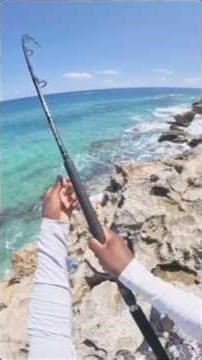 🤩PB JACK Aggressively hits my Popper🎣 #fishing #justanotherdayinparadise