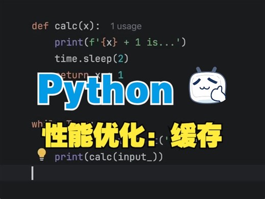 Python中使用缓存优化性能