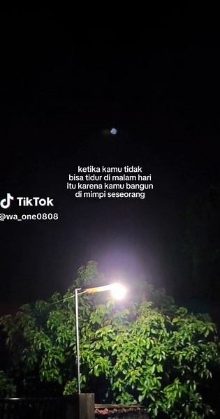 Luminous Nighttime Tree Scene by Streetlight