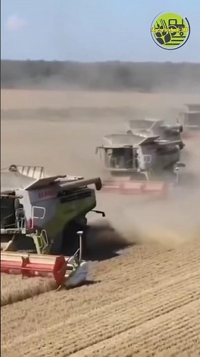 Die Lexion Flotte am dreschen💪• Getreideernte • Grain Harvest • Claas Lexion • John Deere • Kinze