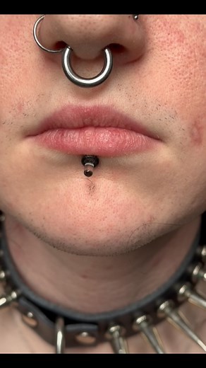 @marcymods on Instagram: "Ran into these 8g lip piercings i did a while back, healing up beautifully ❤️ ive been really enjoying the large gauge piercings ive been getting to do lately ☺️ Glass by @glasswear_studios Pierced @backhand.nyc #sharpassneedles #glasswearstudios"