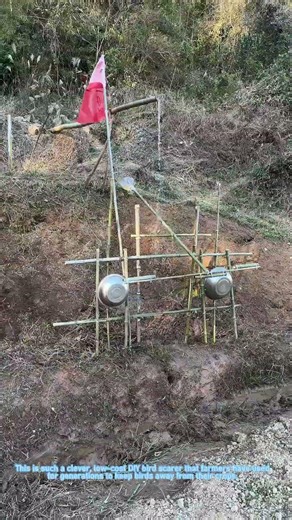 DIY Bird Scarer: Genius Farm Hack to Protect Crops!