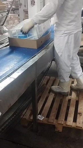 Inside a Food Processing Facility: Daily Operations