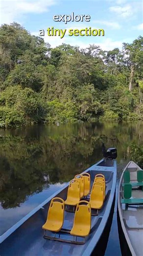 Welcome to the Jungle! 4 Days in the AMAZON RAINFOREST in ECUADOR