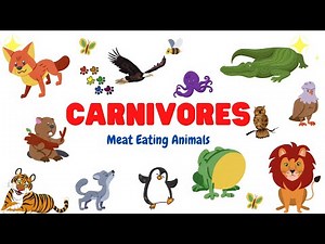 Carnivore Animals || Learn Carnivorous Animals Name || Type of Animals || Meat-eating Animals ||