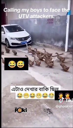 Hilarious Voice Over Fail! You won't stop laughing!