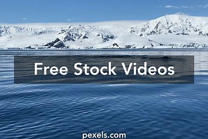 Best Antarctic Videos