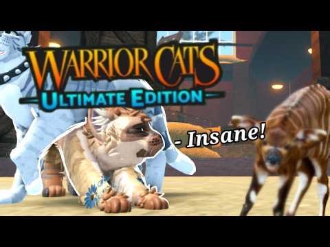 WCUE: MAKING INSANEE MORPH IDEAS - 💥- WARRIOR CATS ULTIMATE EDITON [ WITH RDKIVOS? ] ✨