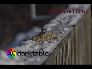 Get Started Now! A Basic Darktable Workflow