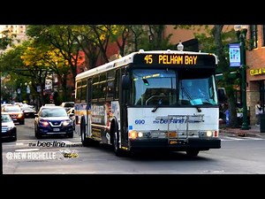 Bee-Line System: Bus Action @ North Av & Main St, New Rochelle, NY (HD 60FPS)